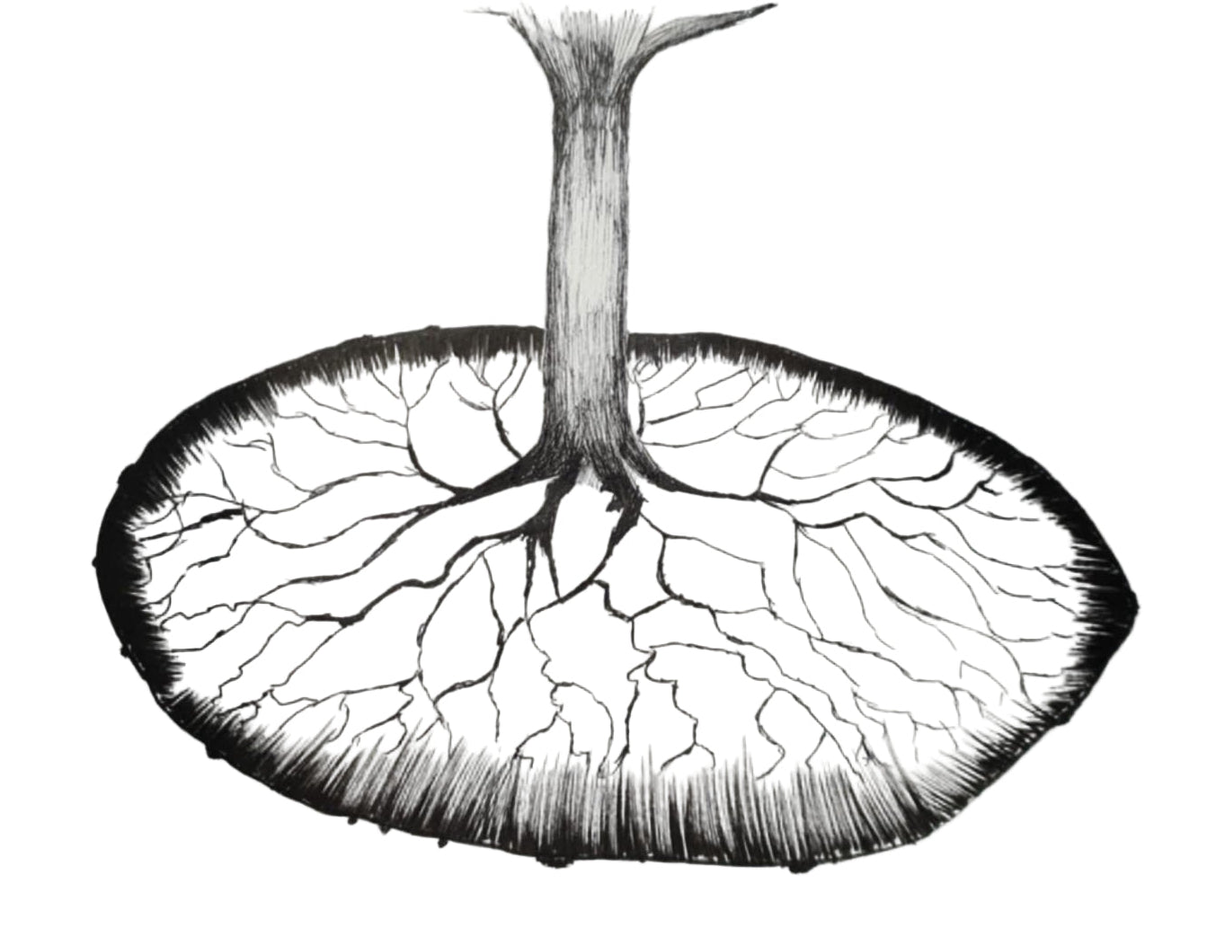 Tree of life patterns