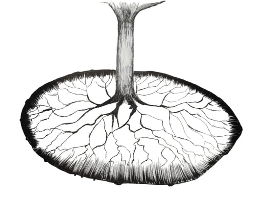 Tree of life patterns